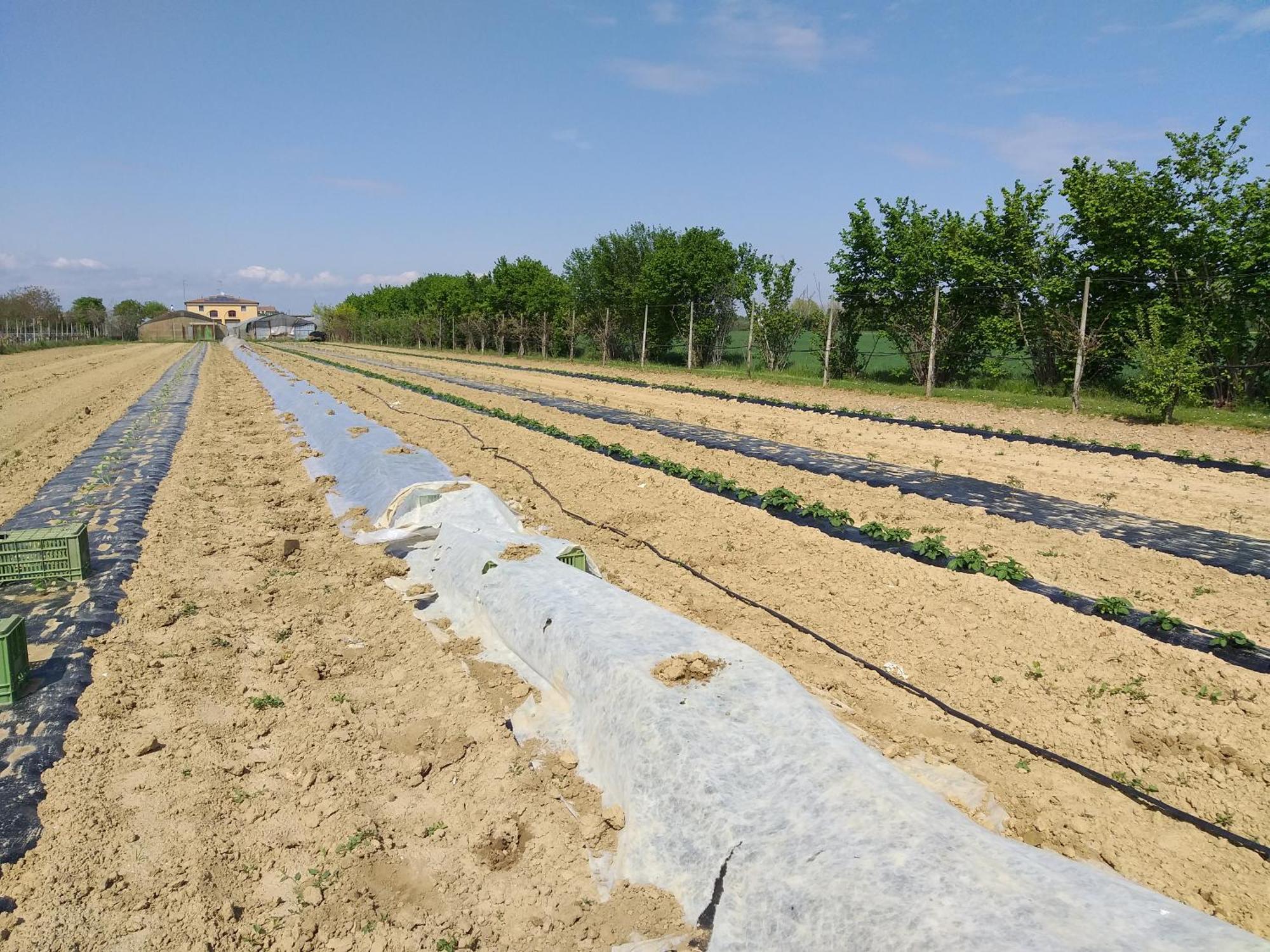 Agriturismo Il Melograno Тессера Екстер'єр фото